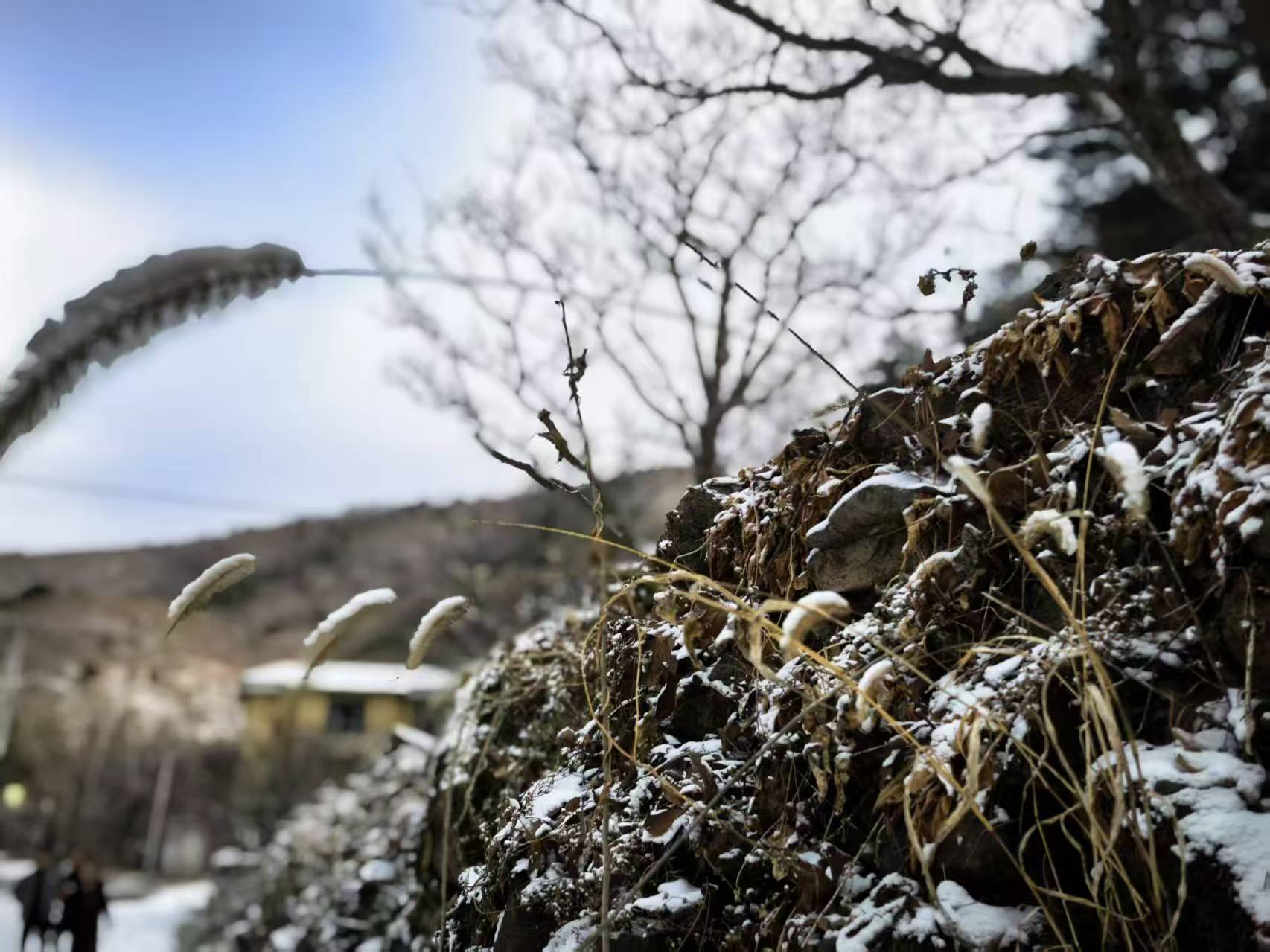 80532328.jpg 3608d5c2568915443ce02d61c2d9e778.jpg